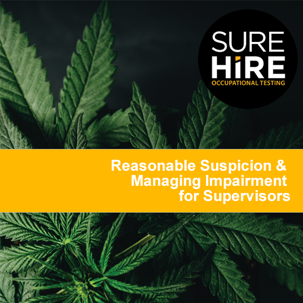 Reasonable Suspicion & Managing Impairment for Supervisors (2018)